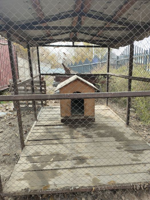 Вольер / Клетка для собак