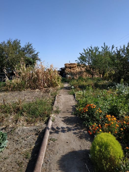 Продам дом в дачном массиве