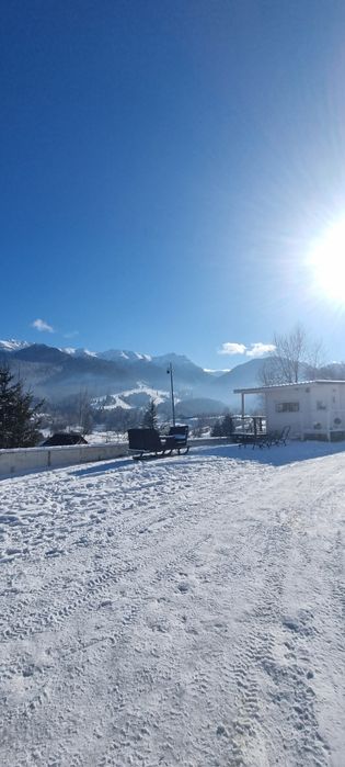 Inchiriez cabana Bran ( cabana este Rezervata de Revelion )