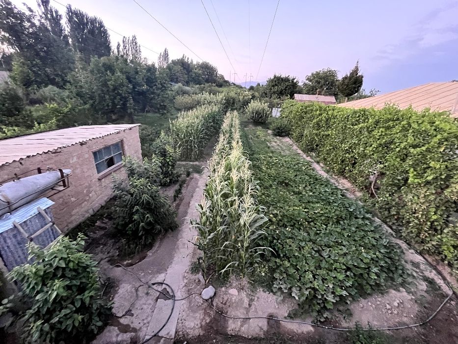 Дом с участком г.Чирчик (газ+свет,участок) от собственника)