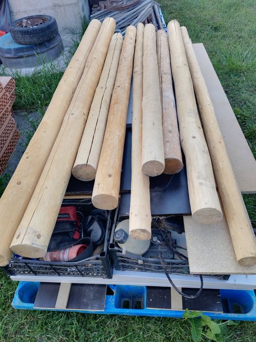 Vand bile brad uscate si slefuite