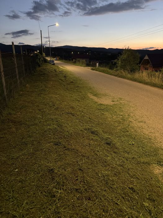 Curat gradini / Curat terenuri