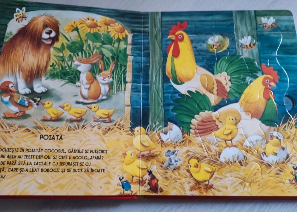 Lot carti cu pagini catonate-70 lei