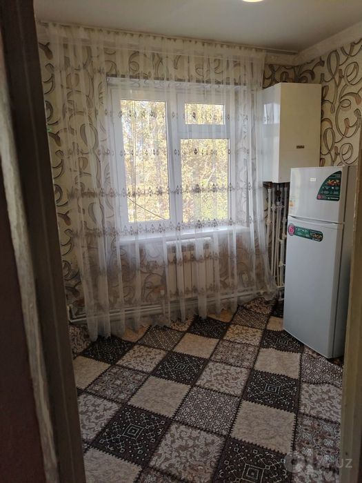 Аренда ибн сино янги ташми оилага берилади