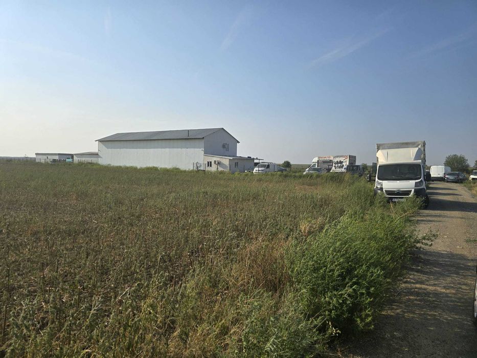 Proprietar,Teren Cernica,Balaceanca,intralvilan,360(utili)+200mp(drum)