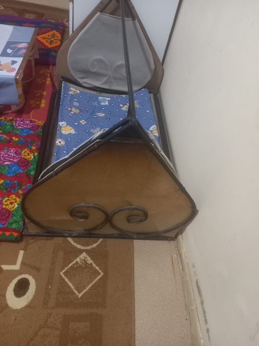 Кочеле Жакси жагдайда