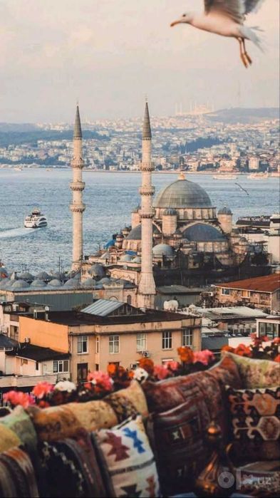 AirBiz turistik firma