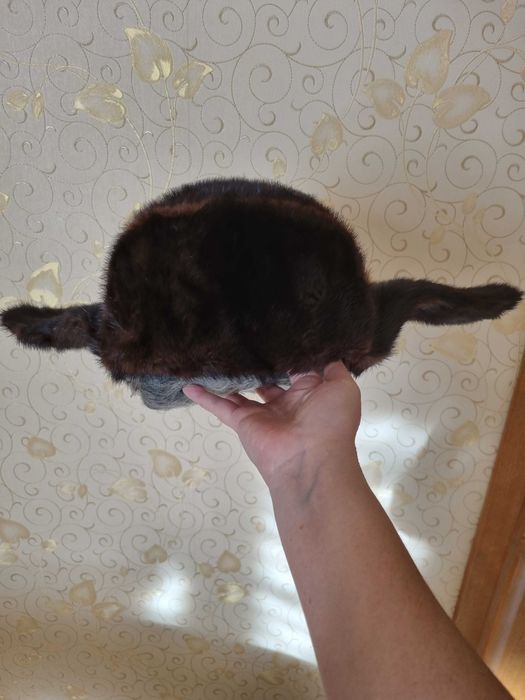 Норковая шапка ушанка мужская