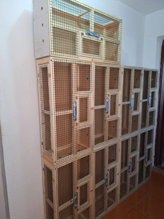 Vând cuști porumbei