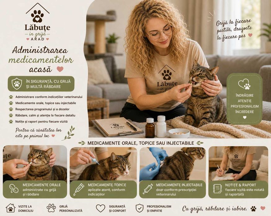 Lăbuțe în grijă Arad - îngrijirea animalelor la propriul domiciliu