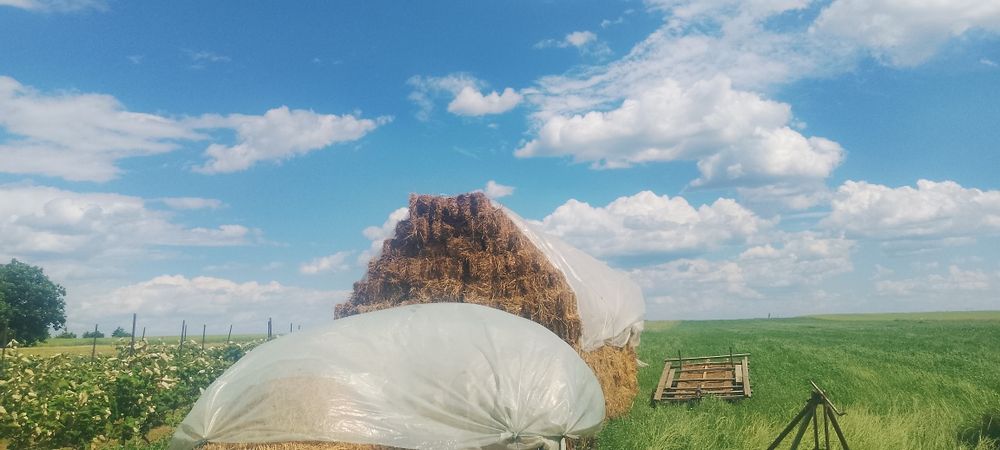 Baloti de Fân  prima coasă