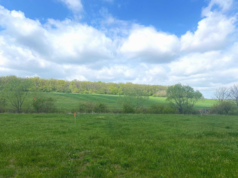 TEREN DE VANZARE – Cihei | Front direct la Inelul Metropolitan