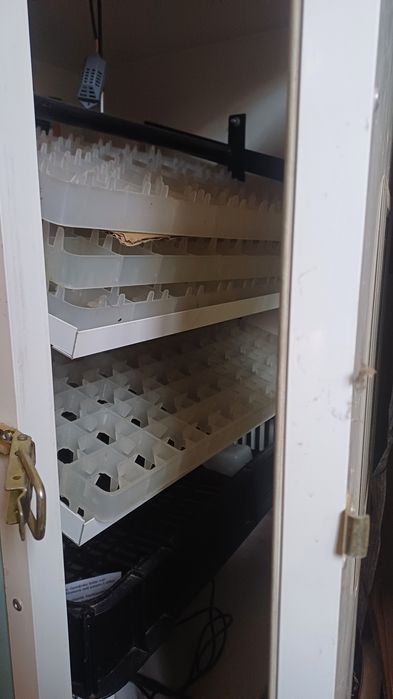 Incubator automat profesional 300 ouă – întoarcere automată + control digital