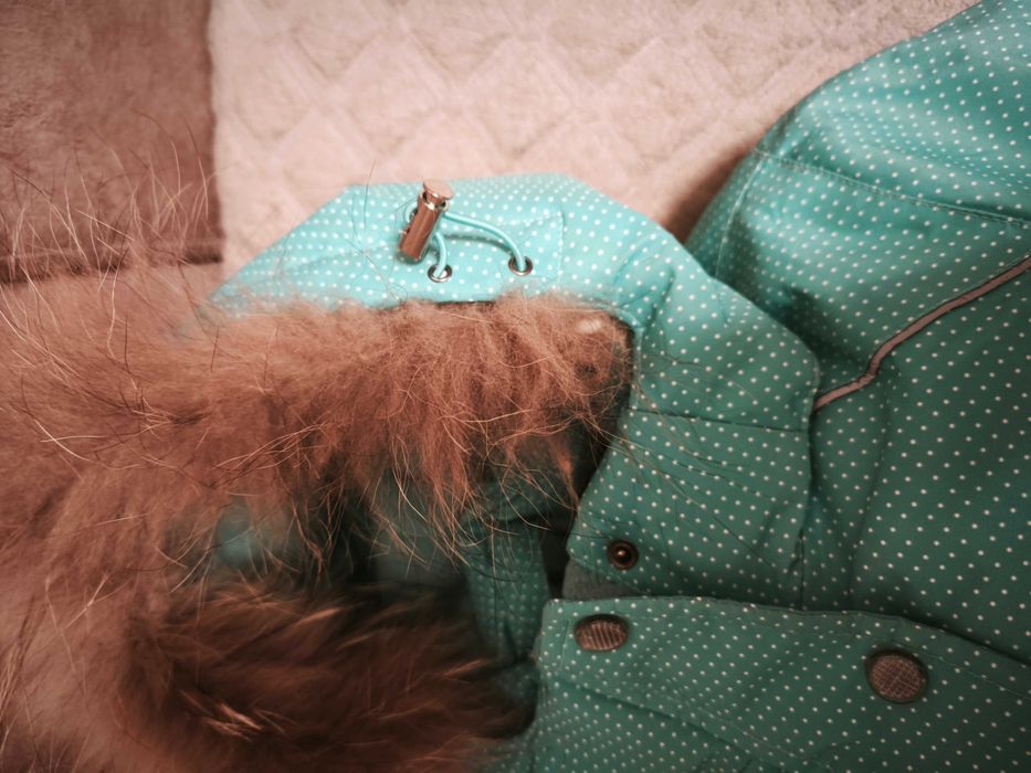 Комбинезон детский для девочек