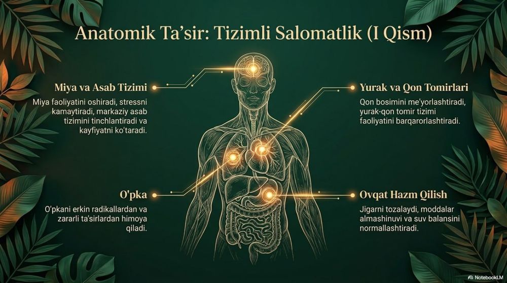 Leodar-kanop yog‘i-oltinga teng mahsulot.Siz esa -bebahosiz
