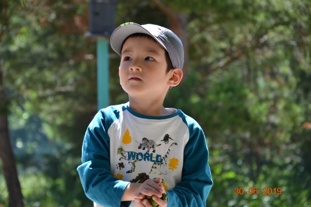 Nikon D3100 с объективом 18-105 мм