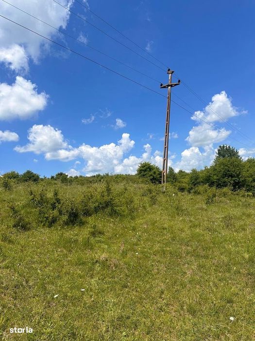 Teren extravilan 54.500 mp, lângă pădure, între Lovnic – Văleni