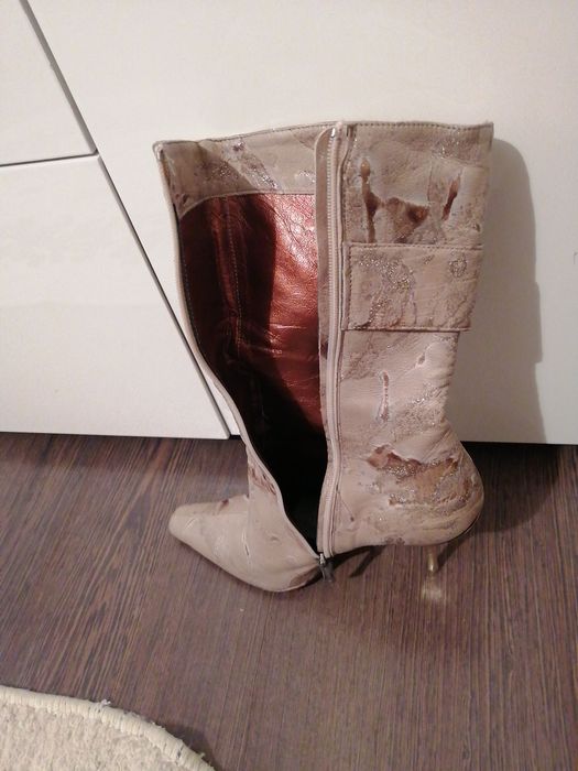 Сапоги демисезонные