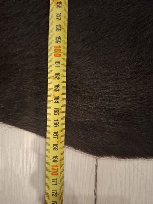 Продавам килим от естествена телешка кожа