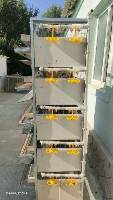 Клетки для перепелов. Бөденеге клетка