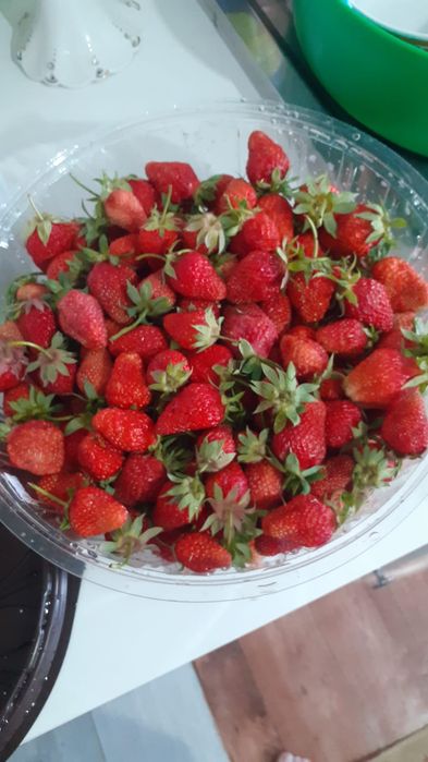 Продам дачную клубнику по 1200