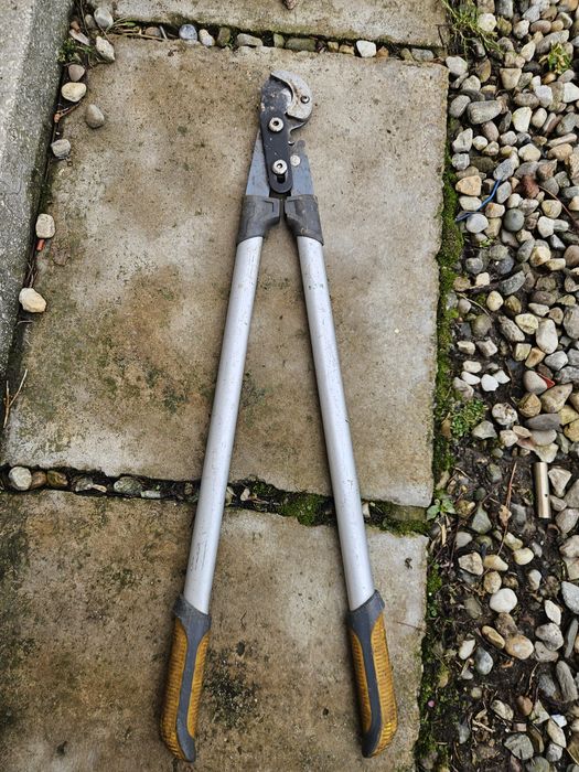 foarceci wolf  ramuri groase