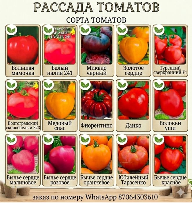 Рассада хороших и урожайных сортов