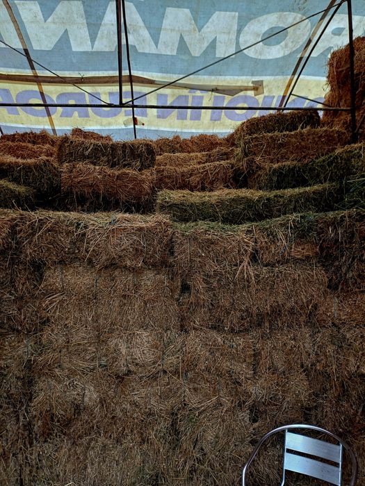 Vând baloți de lucernă coasa 2 și 3 baloții sunt în fânar nu sunt plou