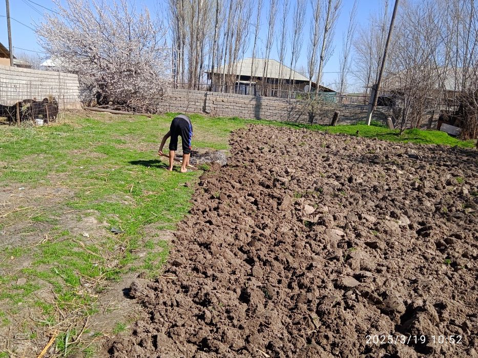 котта йулгача 500метр