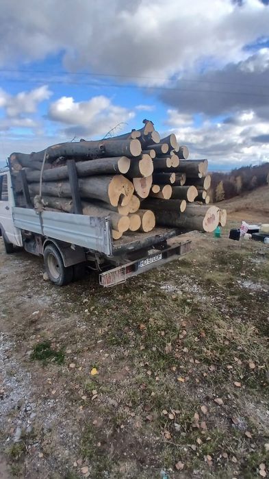 Combustibil Foc Fag ! Lemn de foc adus la domiciliu ,tot județul Hunedoara!