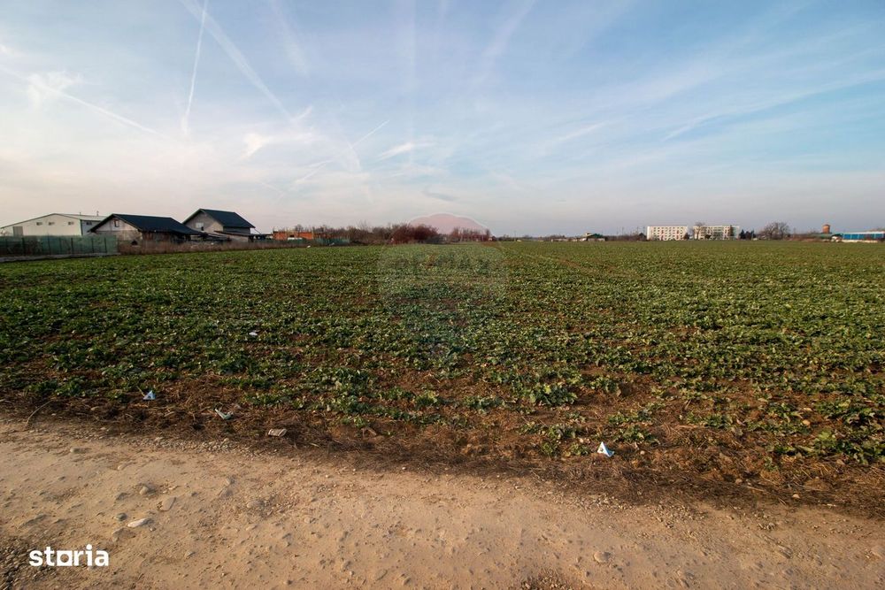Teren Intravilan de vanzare 21000 mp Balotesti Central Soseaua Unirii