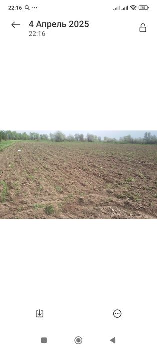 Сдается в аренду поле