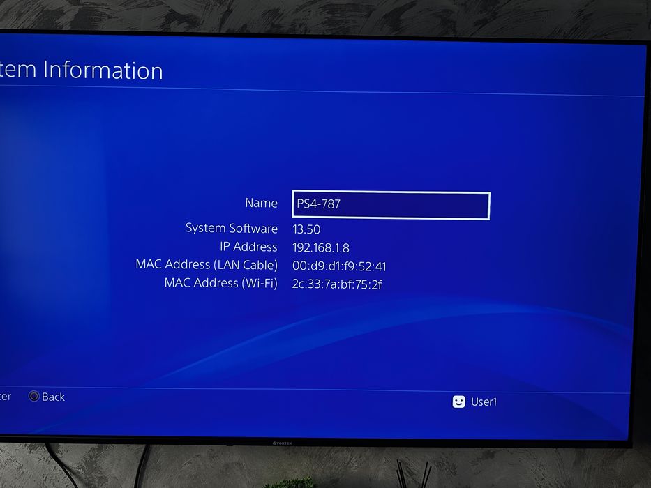 PS4 Ca nou de un tera
