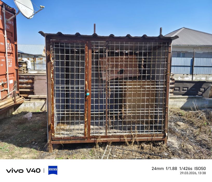 Вольеры для собак