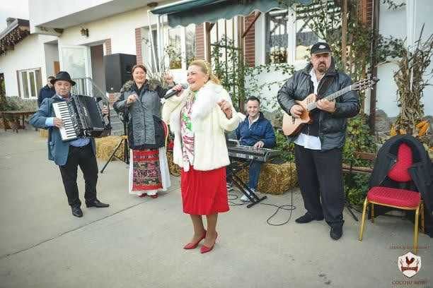 Acordeonist obiceiuri nunta