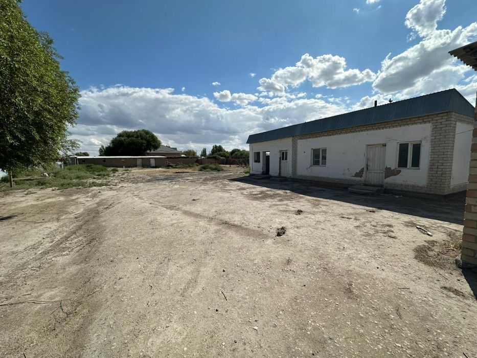 Уй сатылады, өте берекелі