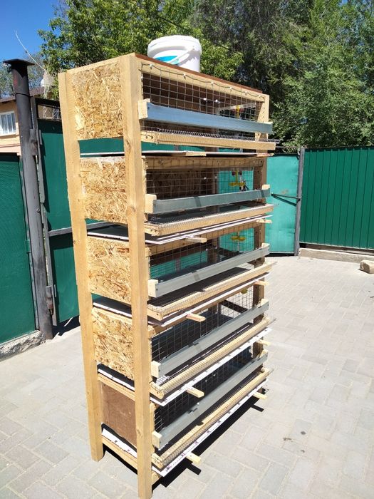 Продаю клетку для перепелок