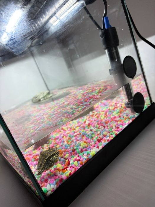 Vand acvariu 20l