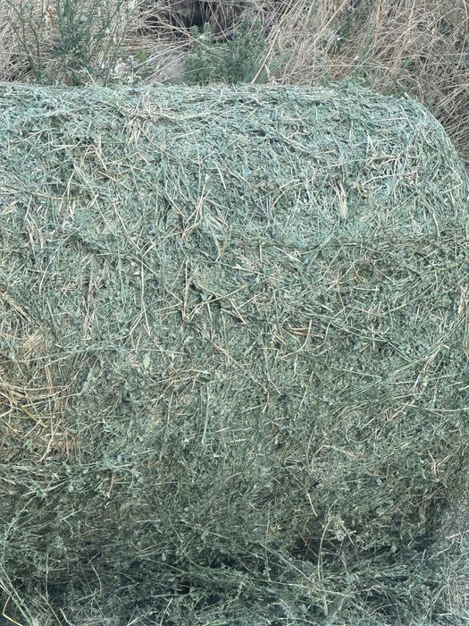 Люцерна, сено овес ,грах топ качество