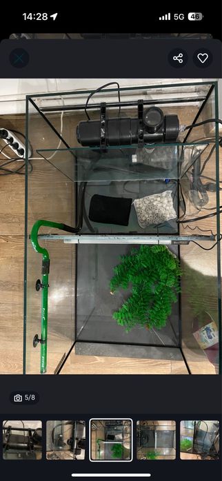 Acvarii pestisori pentru terapia Garra Ruffa