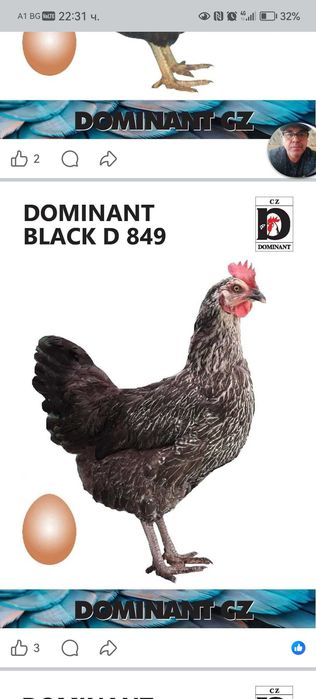 Продавам пилета на различна възраст