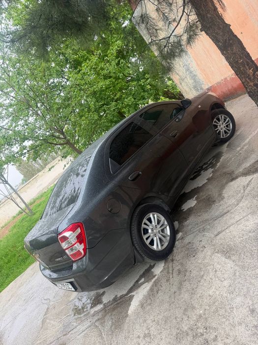 Cabolt 2024 kraska tozza