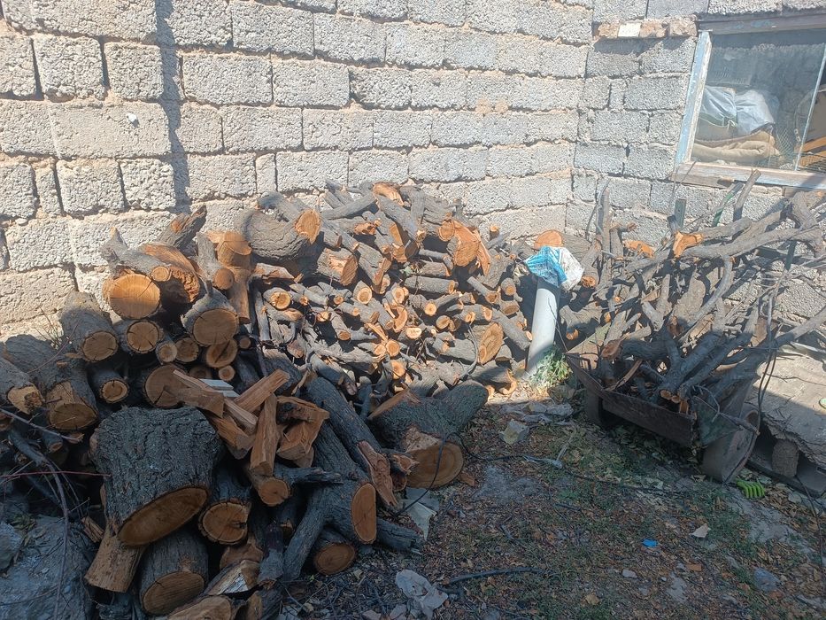 Пеньки, двова, ветки. (Урюк). Новый