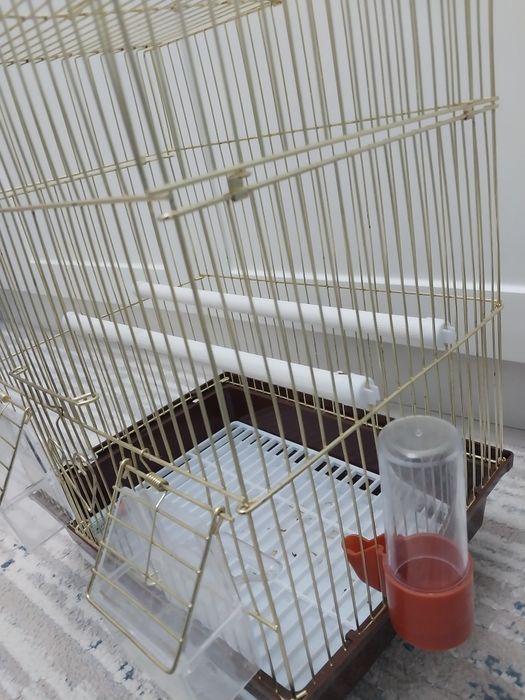 Клетка папугайға арналған