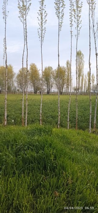 Ер учаска  сотилади 9500 $