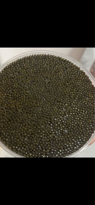 Черная икра 270 тысяч/кг