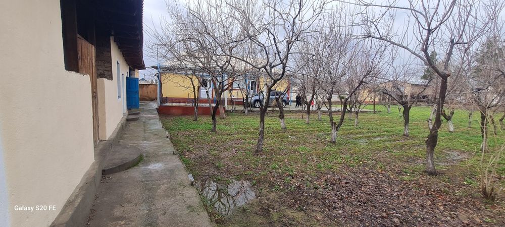 Сурхондарё вилоят денов