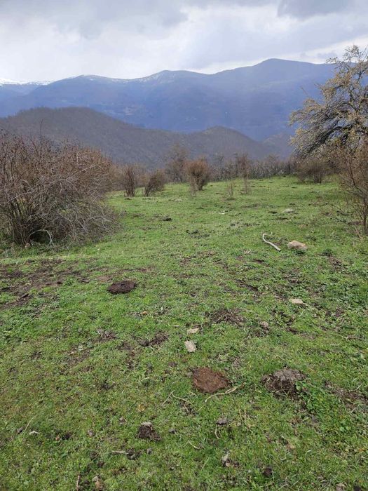 Продава имот в Рилски Манастир,с.Падала