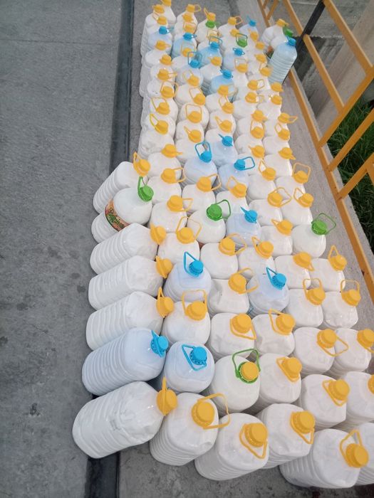 Кымыз кымыран оптом