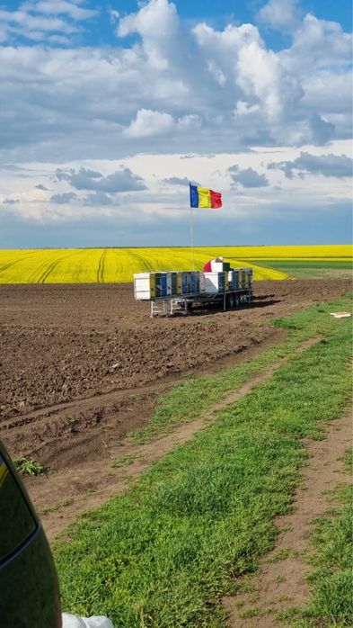 Platforma apicola Rema 40 stupi